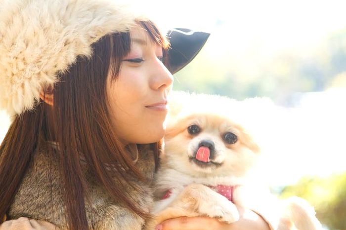 【独身ペットのリアル】結婚できないと言われる4つの理由